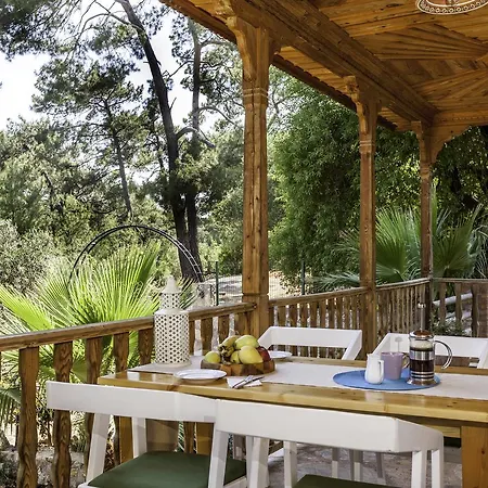 Gokova Chalet *