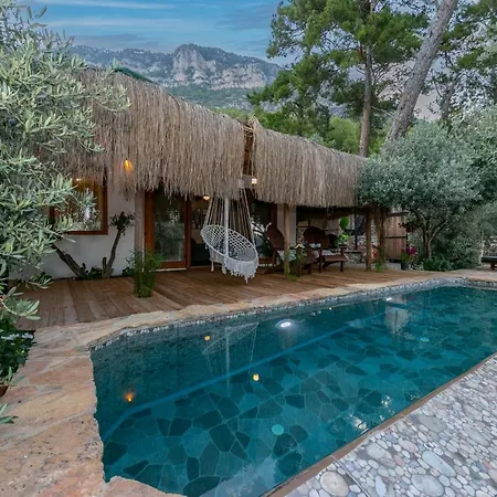 Chalet Gokova *