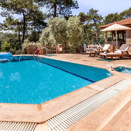 Hotel Gokova 4*
